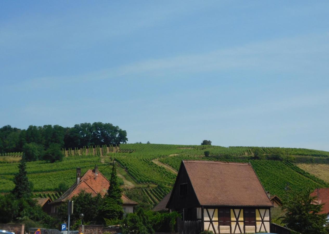 Gewurztraminer - Studio Au Pied Du Vignoble - Renove Recemment - Parking Gratuit Ρικβίρ Εξωτερικό φωτογραφία