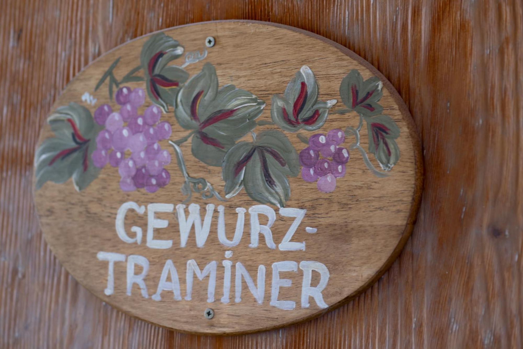 Gewurztraminer - Studio Au Pied Du Vignoble - Renove Recemment - Parking Gratuit Ρικβίρ Εξωτερικό φωτογραφία